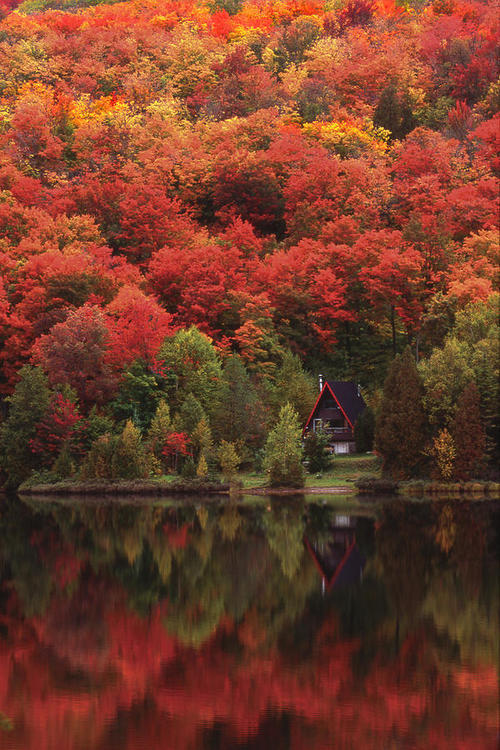 fussimnacken:  &ldquo;flamboyant&rdquo;