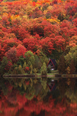 hartoger:  bluepueblo: Autumn Lake, Quebec, Canada photo via jessica 