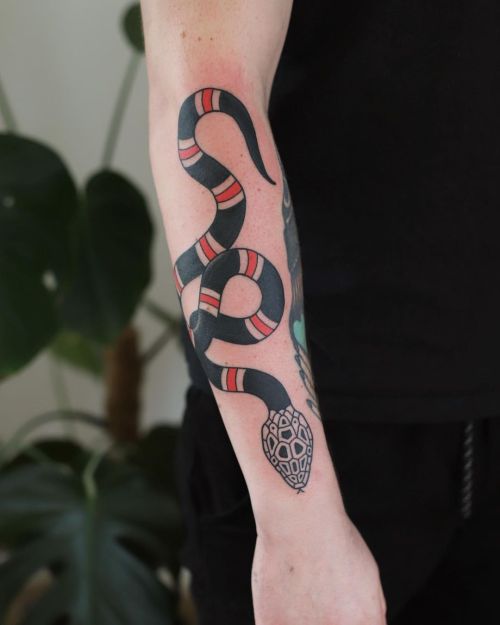 W sprawie węży i innych tatuaży DM pls #patrykhilton #snaketattoo #coralsnake #waztatuaz #madeinbyd
