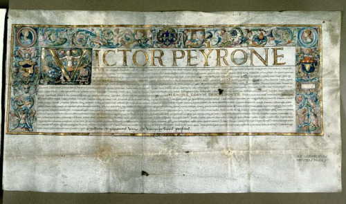 Pretty degreeYou would think this pretty document, dating from 1551, is a charter issued by a duke o