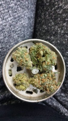 stoner-ette:weed in my grinder, mind on a