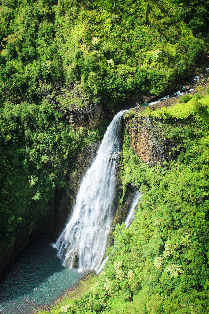 4nimalparty:  Jurassic Falls (by Alfred Hermida) 