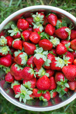 morningfood:   Georgia Strawberries 