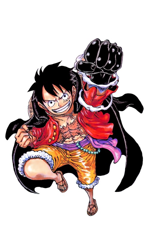 rickypozzi:  Monkey D. Luffy from Top 50 World Popularity Poll Colorspread