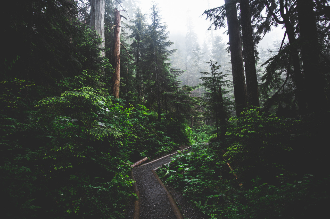 jtrendd:  Rainy day’s. 
