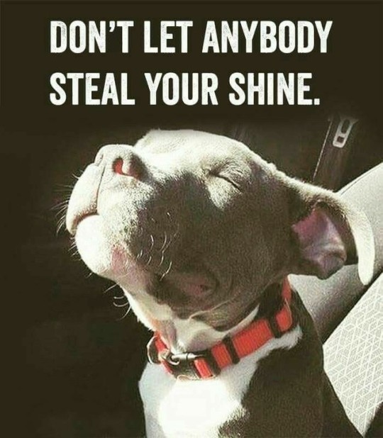 acurlygirlamy:  
