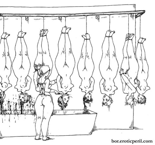 hotariel:  Dangling upside down Unable to move Slowly moving forward Watching the others go before you Your heart starts racing The Butcher does not notice your fear You are just meat 