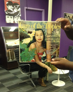 librarysleevefacing:Whether you’re falling prey to the Lure of the Tropics, heading out to do good with bGAB, or spending some quality time with your family this Spring Break, the MLSRA will be open from 6-10pm on Sunday March 15 to welcome you back!
