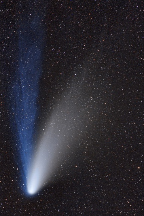 Comet Hale-Bopp