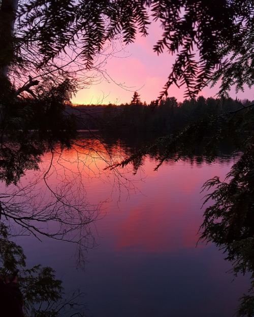 lavenderwaterwitch: Our last night Camping we were blessed with such a gorgeous sunset ✨ have you ev