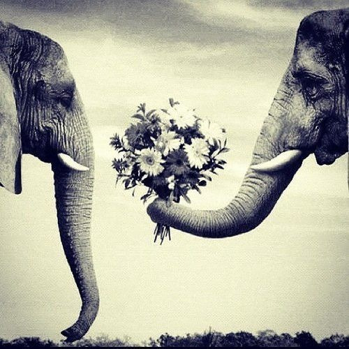 &lt;3 i love 