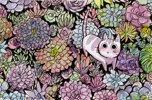sprezzaturan:Succulent Kitties! These will be available as prints at CTNexpo! Find me at T054 :)
