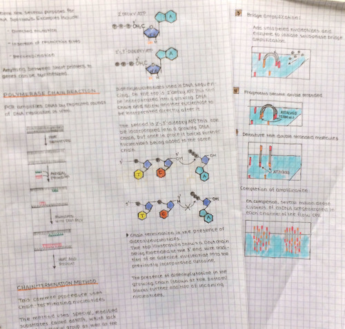 Methods in molecular biology: PCR 