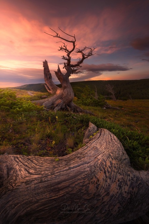 Sacredby Patrick Marson Ong