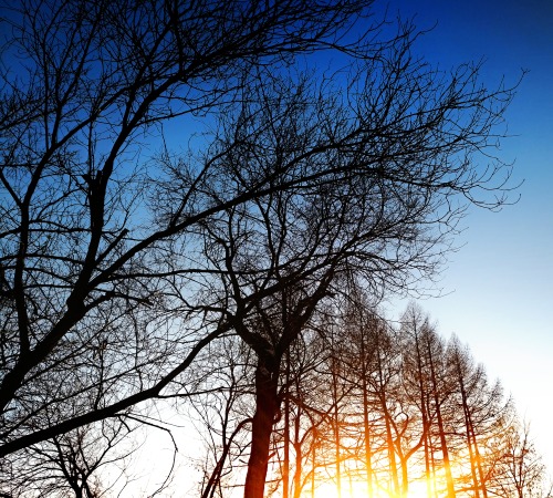 . Sunset On The Mountain.