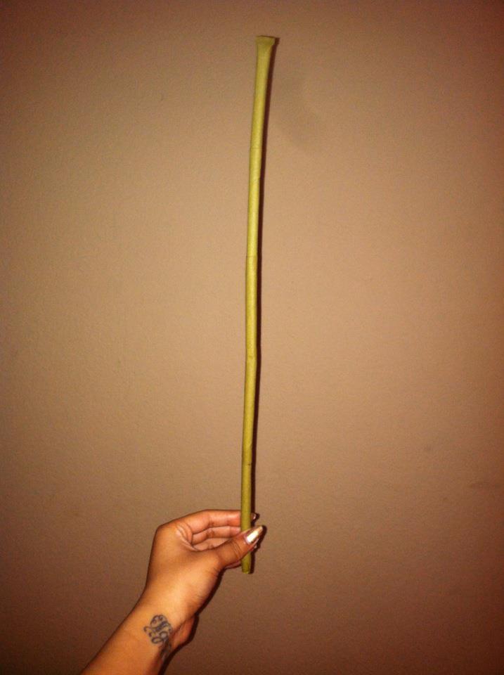 bayariel:  4master2chief0:  Killa blunt  extendo