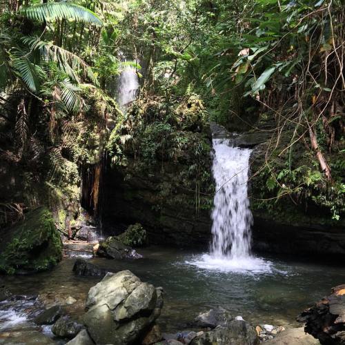 explorevip:  The rainforest is full of #waterfalls cascading thru the jungle #nationalpark #seepuert