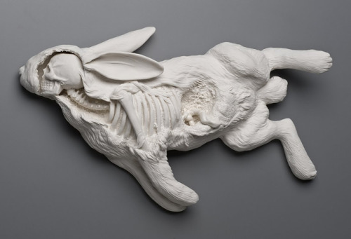 beautifulbizarremagazine:   Kate MacDowell’s Honest and Haunting Sculptures   Kate MacDowell’s hauntingly surreal sculptures have a way of tugging at your emotions like the heartstrings of a gentle puppeteer.      Discover her gorgeous work today