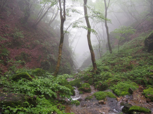 Mitake Summer after rain by cata_angel999