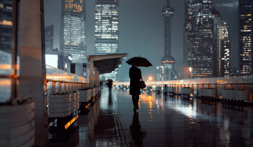 XXX bujothief:Rainy nights in Shanghai, China. photo