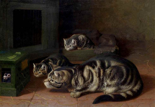 mutiyon: Cat paintings by English painter Horatio Henry Couldery (1832-1918 click for titles! Born i