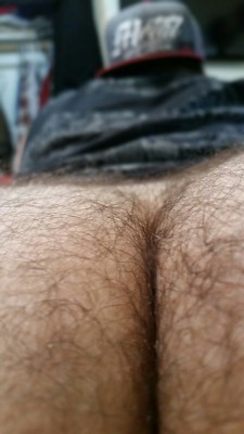 Hairy Arses