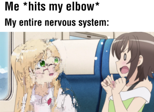 jasoncanty01: sappho-dot-com:  babaswole:   anime–irl: anime_irl anime_irl   anime_irl  I feel this Image right now 