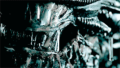 cunterion:  endless list of horror films - Alien (1979) 