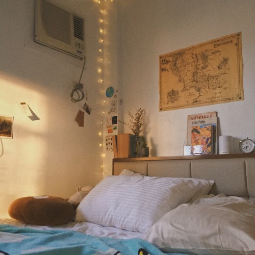 academc: this break’s agenda is to reorganize and redecorate my room! im going for a cozy, sim