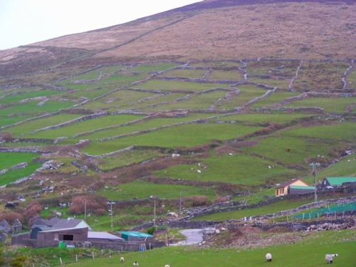 Dingle Peninsula Landscape, County Kerry, Ireland, 2013.