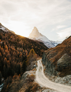 meowntain:  That day in Switzerland (by kevin.faingnaert)