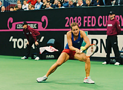 Czech Rep. takes 2-0 lead against United States in Fed Cup finalTeam Usa and Czech will fight in Fed