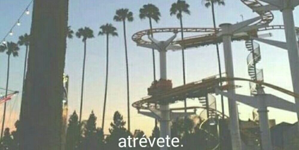 somospandaspordentroyporfuera:  Gran frase 🙈 -Una chica invisible. 