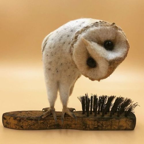 thewightknight:I’m A Needle Felt Artist From A Small Village And I Bring Old Brushes Nobody Would Lo