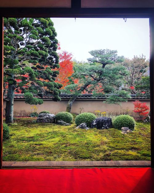 東福寺 天得院庭園 [ 京都市東山区 ] Tofukuji Tentokuin Temple Garden, Kyoto の写真・記事を更新しました。 ーー桃山時代に作庭された一面苔の枯山水庭園にキキ