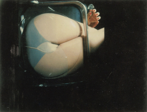 endthymes:Guy Bourdin, Polaroids