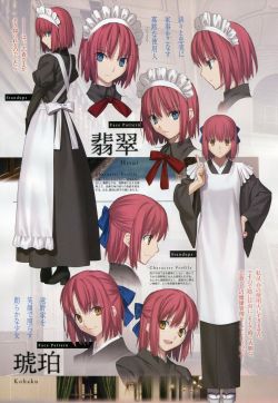 Type-Moon ACE Vol.10