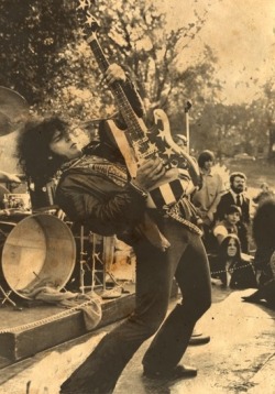 stayfree70:  MC5