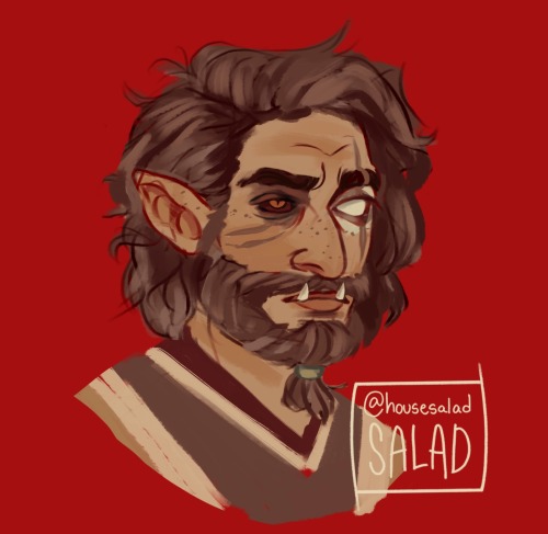 Artfight Portraits Of @vekellords Fearghal And @perovas Reverie :)
