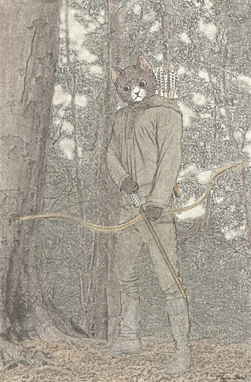 Robin HoodDrawing - Tinted Charcoal