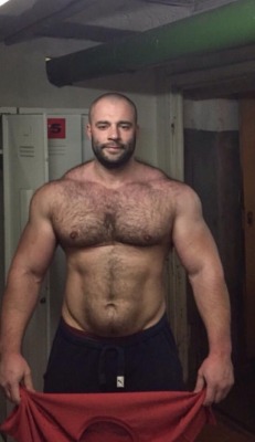 Muscle Bear Worship