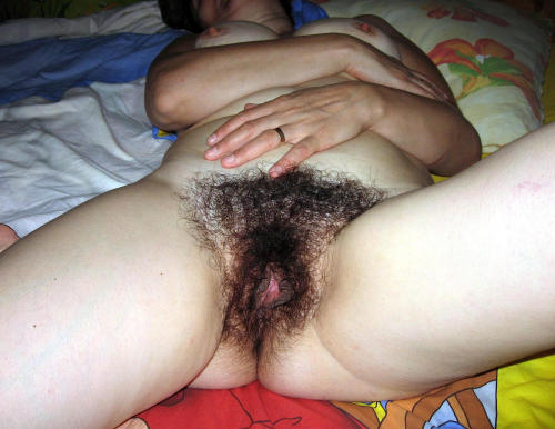 Noshes Hairy Amateurs