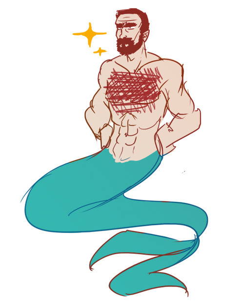 xayti:  sashaforthewin:  unclewhisky:  clannyphantom:  if ur hair covers ur boobs u have mermaid hair and u are a mermaid i dont make the rules  As a man with a hairy chest, I was very, very confused by this post for about ten seconds.  You are a mermaid,