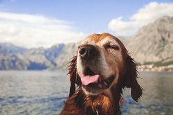 Think like a boat and go with the tide.