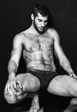 Hairy Men Heaven