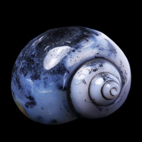 bijoux-et-mineraux: Rare Cretaceous Gastropod epigenized in Dendritic Agate - Betul, India 