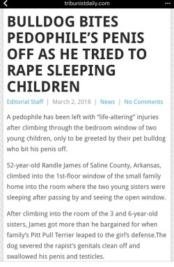 persephone-is-here-omg: borderlinevamp:  alwaysbewoke:   grimm-fairy: Btw, the dog is not being punished for his (deserved) actions and the local sheriff actually praised the dog, saying the family was lucky that the dog was there. good dog!!!   It’s