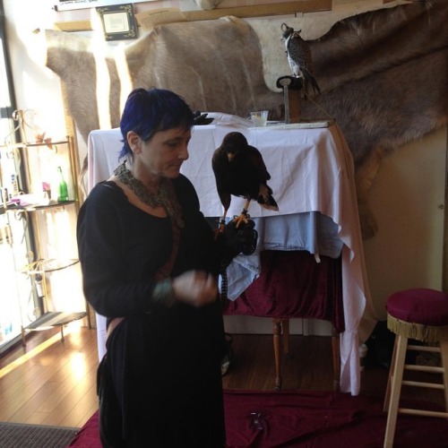 West Coast Falconry is in the house tonight! Come join us here at #321lindenst for a night of uncom