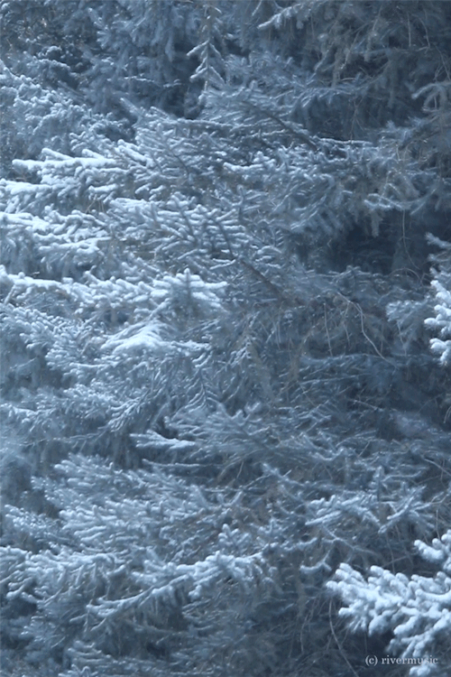a0ead2c89d8c8c58678d294b2a2ae08aa570b853.gifv