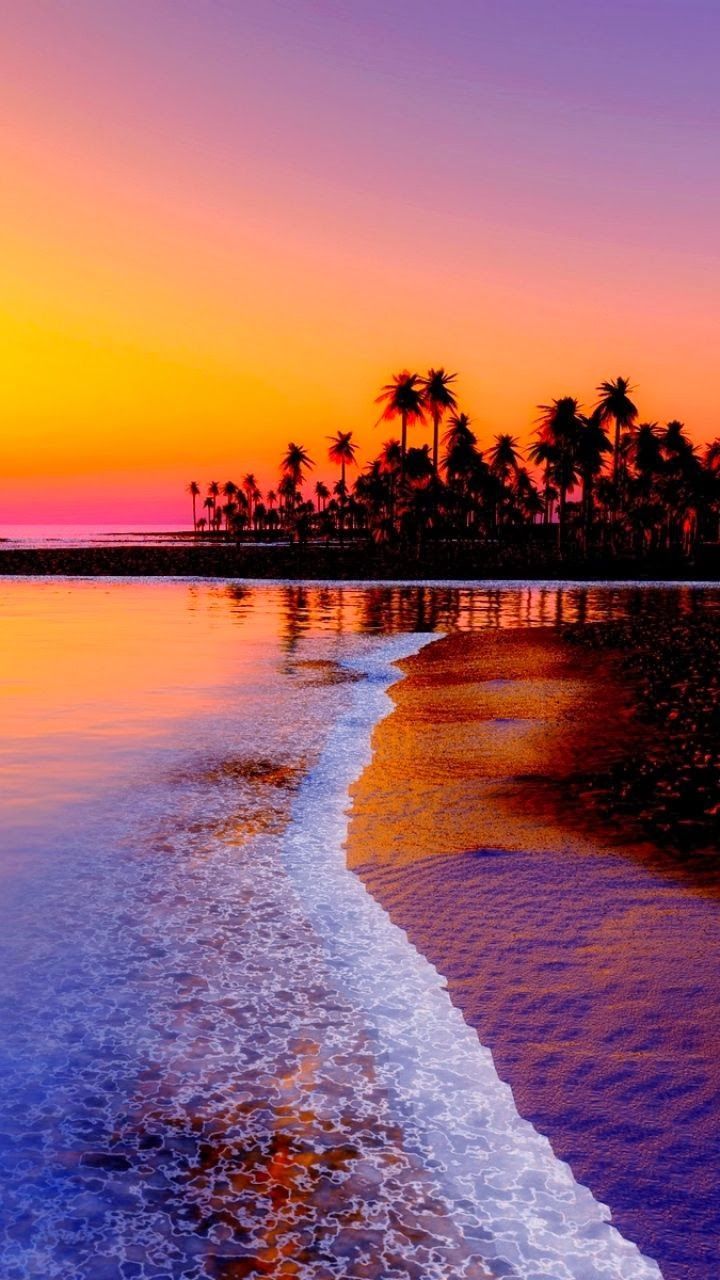 sixpenceee:  Pink sunsets obtained from here.  